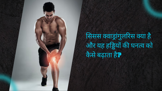 सिसस क्वाड्रांगुलरिस क्या है और यह हड्डियों की घनत्व को कैसे बढ़ाता है?