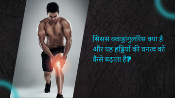 सिसस क्वाड्रांगुलरिस क्या है और यह हड्डियों की घनत्व को कैसे बढ़ाता है?