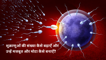 शुक्राणुओं की संख्या कैसे बढ़ाएँ और उन्हें मजबूत और मोटा कैसे बनाएँ?