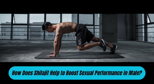 How Does Shilajit Help to Boost Sexual Performance in Male?