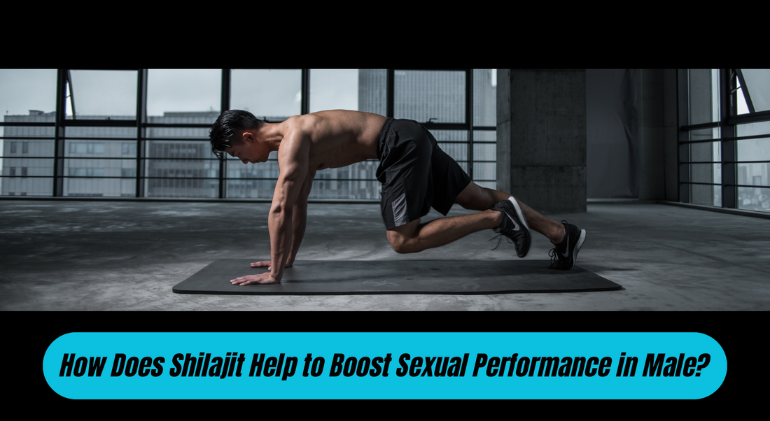 How Does Shilajit Help to Boost Sexual Performance in Male?