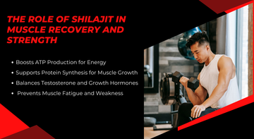 The Role of Shilajit in Muscle Recovery and Strength