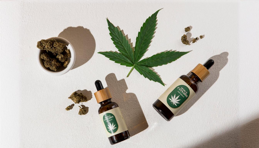 The Popularity of CBD: Exploring Its Health Benefits