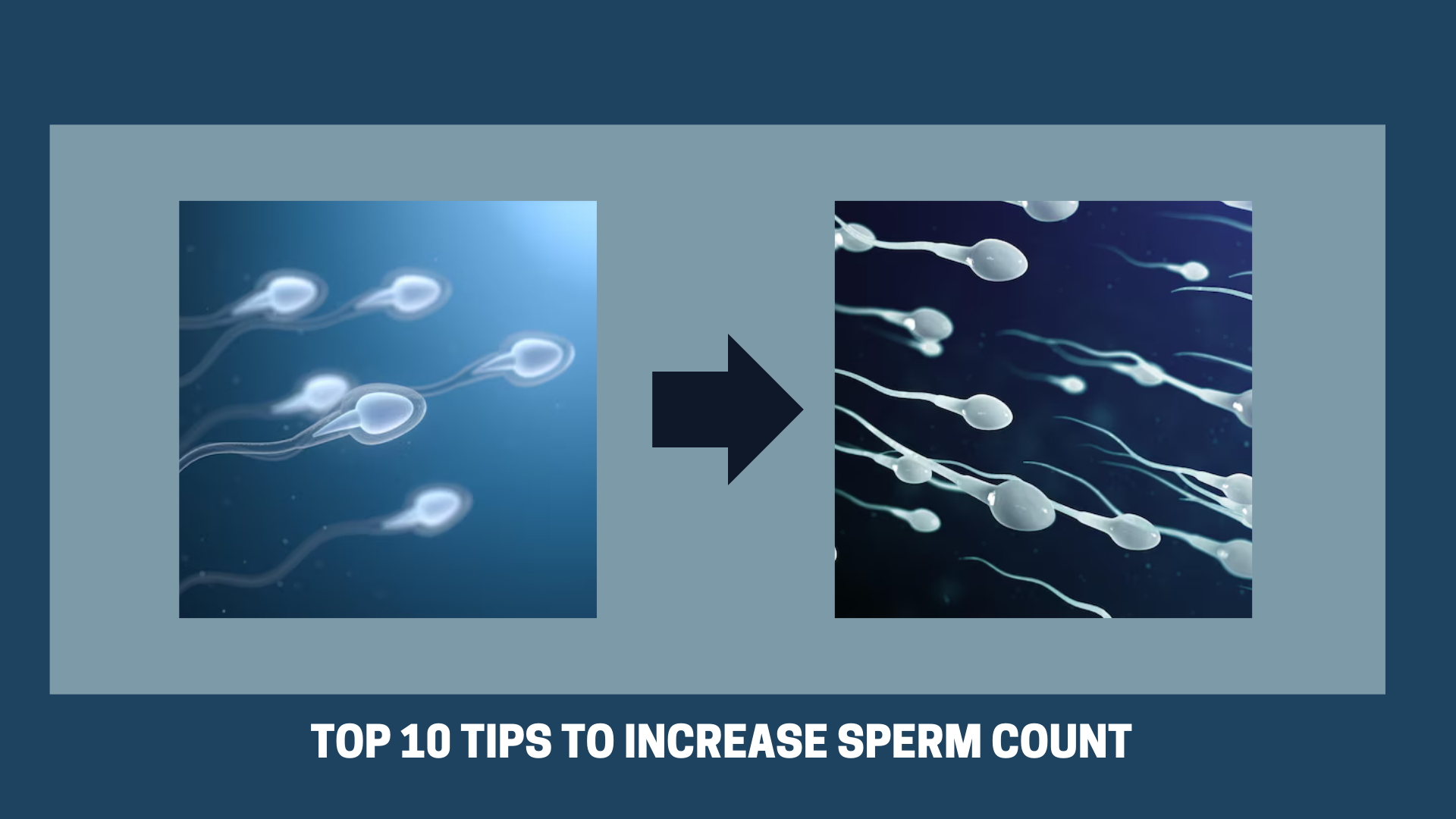 Top 10 Tips to Increase Sperm Count and How to Make Sperm Thicker and Stronger