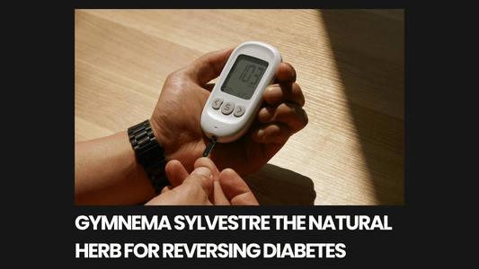 Gymnema Sylvestre The Natural Herb for Reversing Diabetes