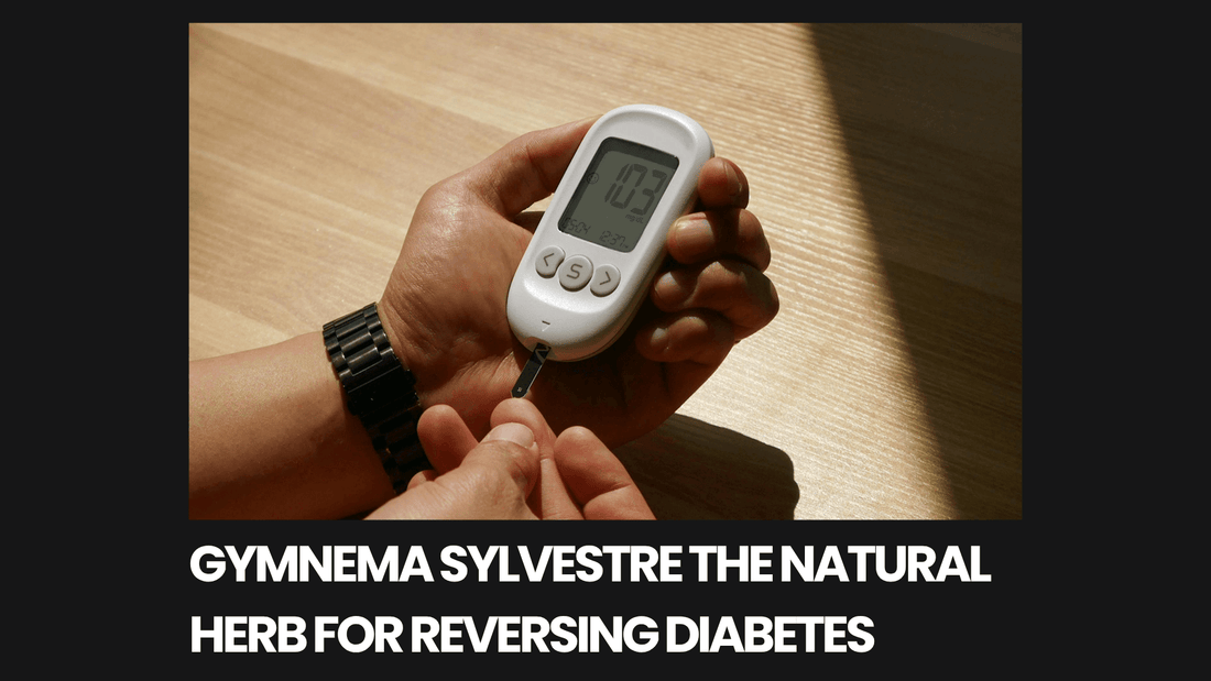 Gymnema Sylvestre The Natural Herb for Reversing Diabetes