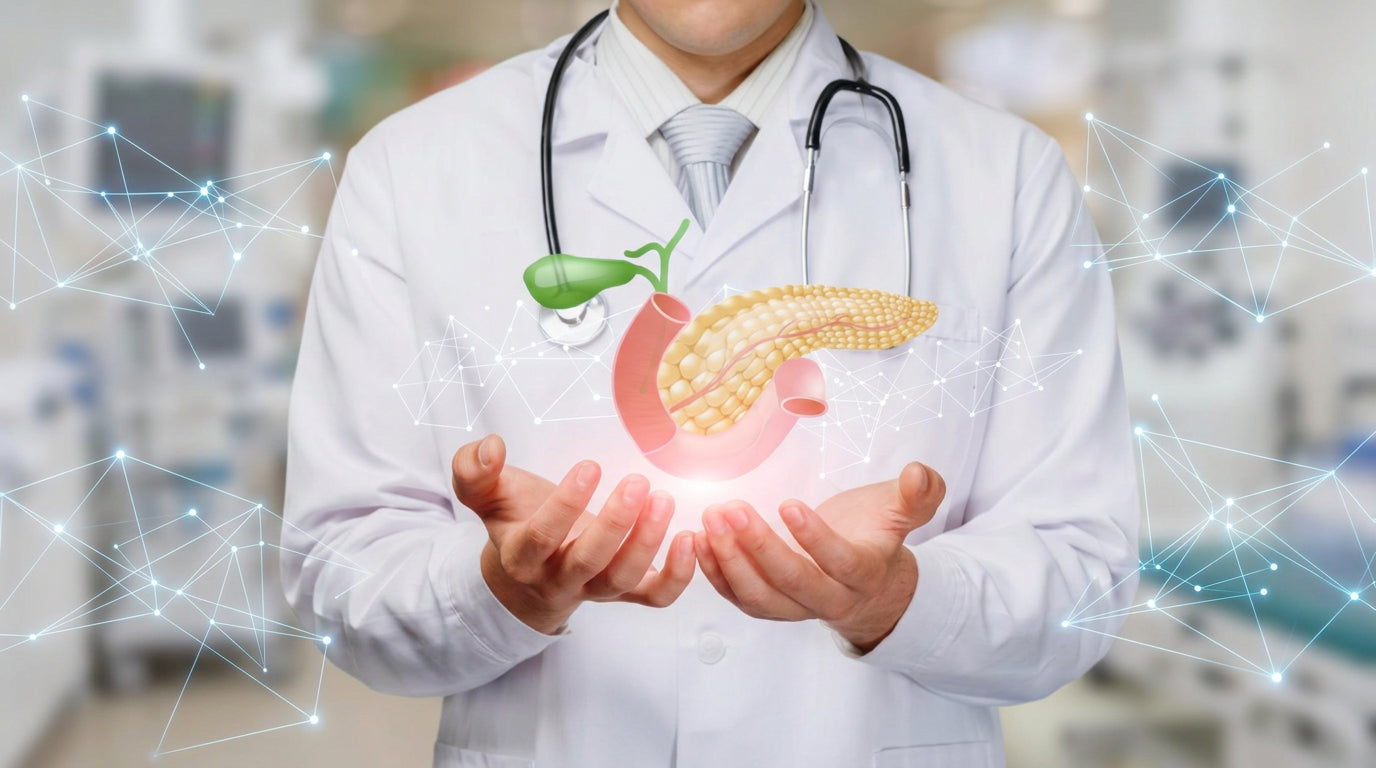 The Pancreas–Diabetes Connection: How This Tiny Organ Controls Your Blood Sugar