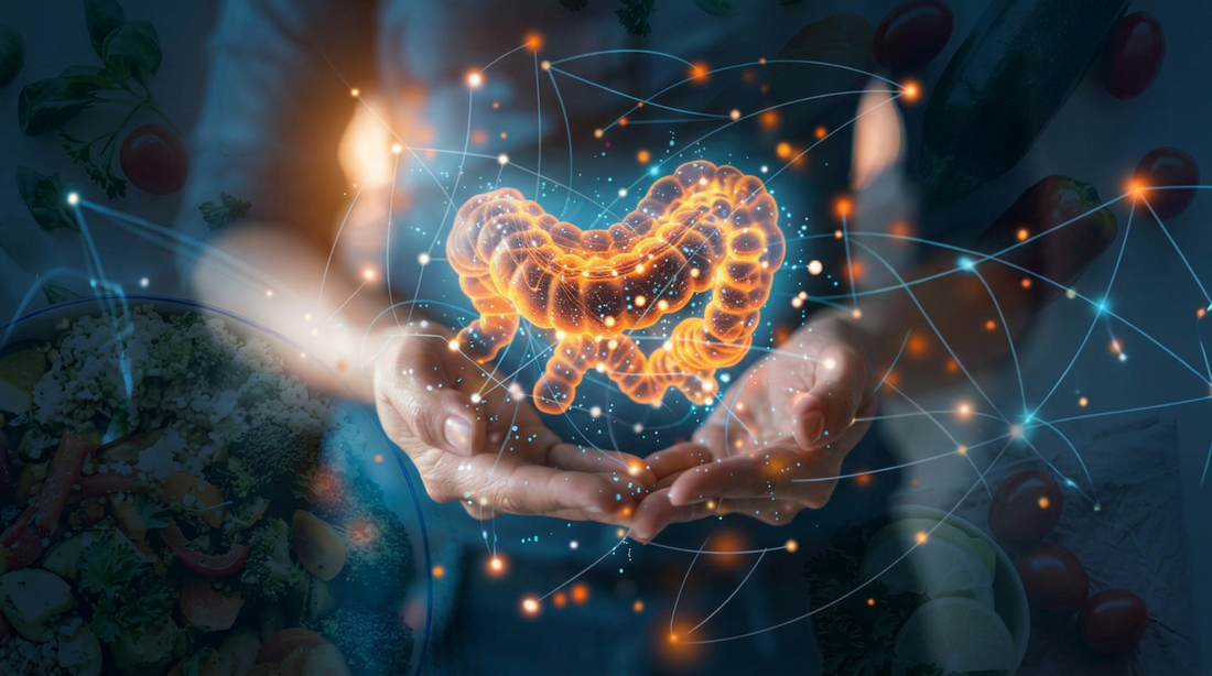 Improve Digestion Naturally with Pre and Probiotic Supplements