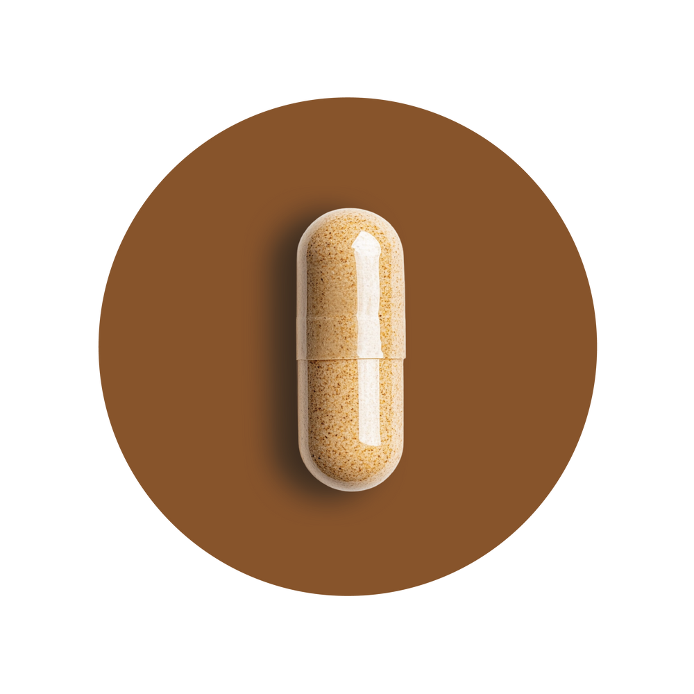 Ashwagandha Supplement New 1