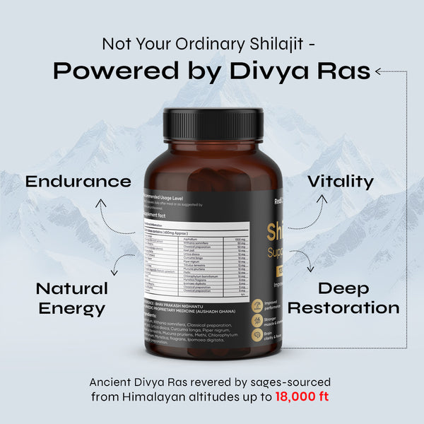 Shilajit Supplement Capsules