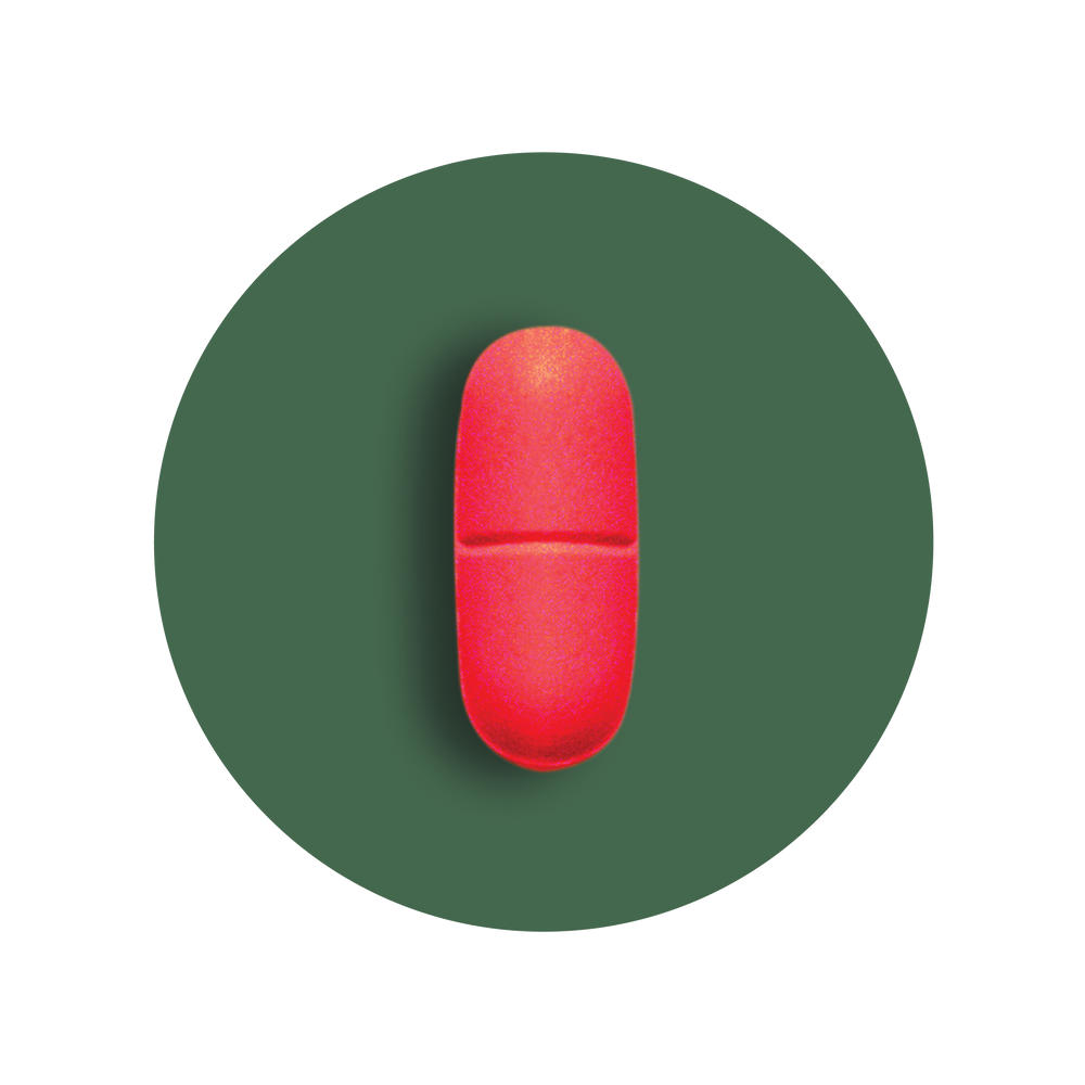 Joint Support Supplement New1
