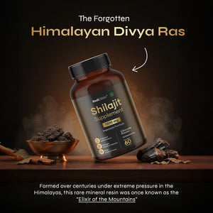 Shilajit Supplement Capsules
