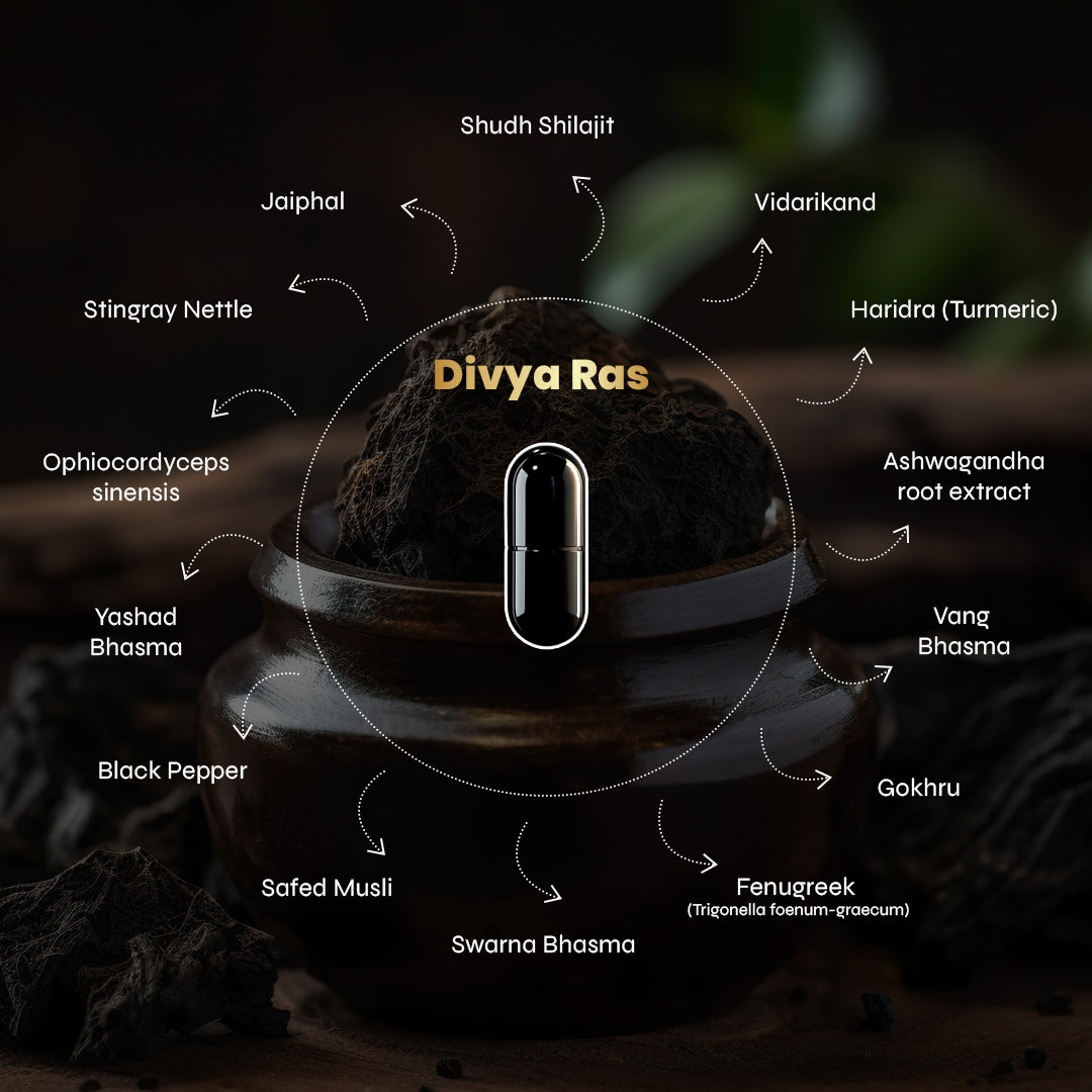 Shilajit Supplement Capsules
