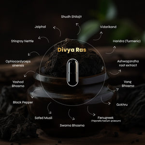Shilajit Supplement Capsules