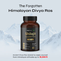 Shilajit Supplement Capsules