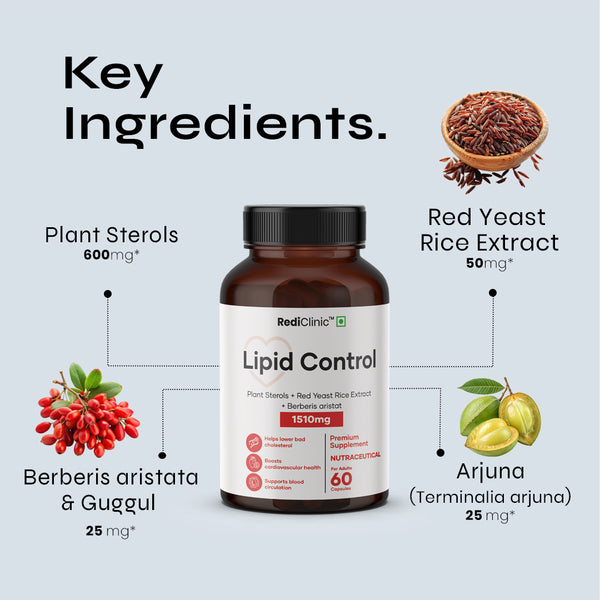 Lipid_Key_Ingredients